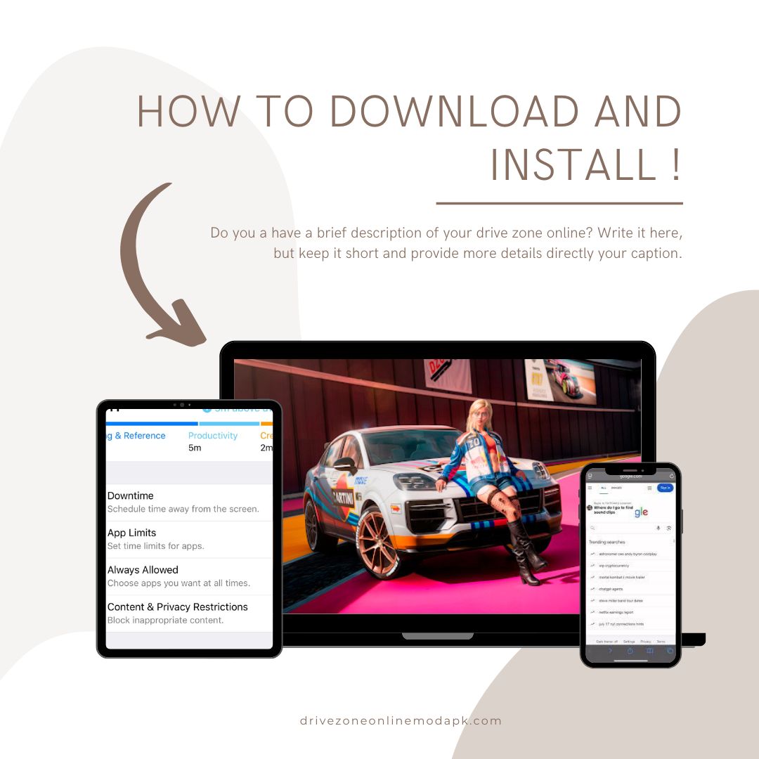 Download and Install Drive Zone 